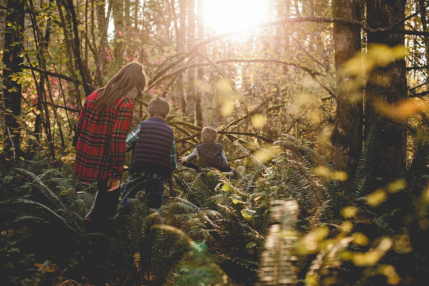 three kids exploring through forest