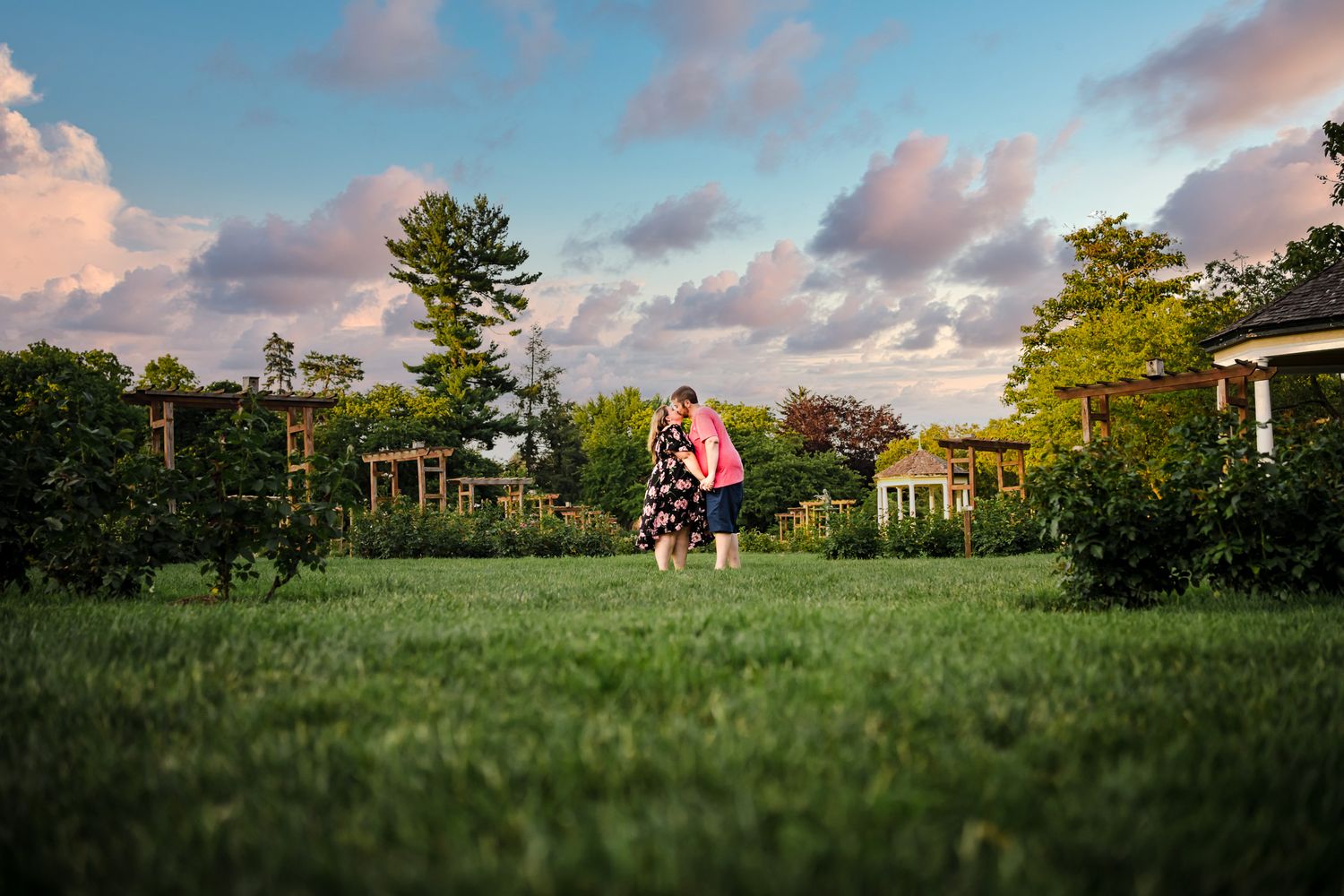 Scenic landscape panorama with green grass and sunset clouds.