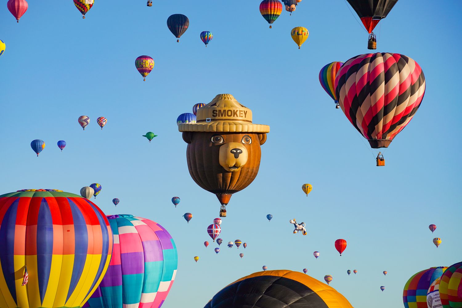 Smokey the Bear hot air balloon centered and surrounded by dozens of balloons at the Balloon Fiesta. Image: Alex Kent