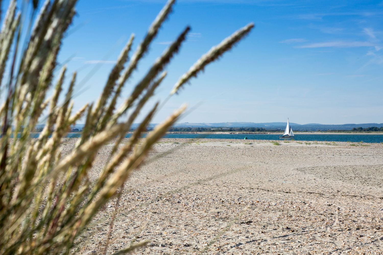 Coastal landscape with beach grass in foreground and distant sailboat on blue water.