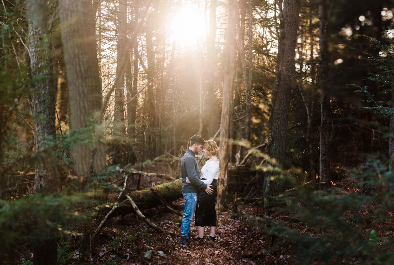 Sunlit forest scene with golden rays streaming through tall evergreen trees.