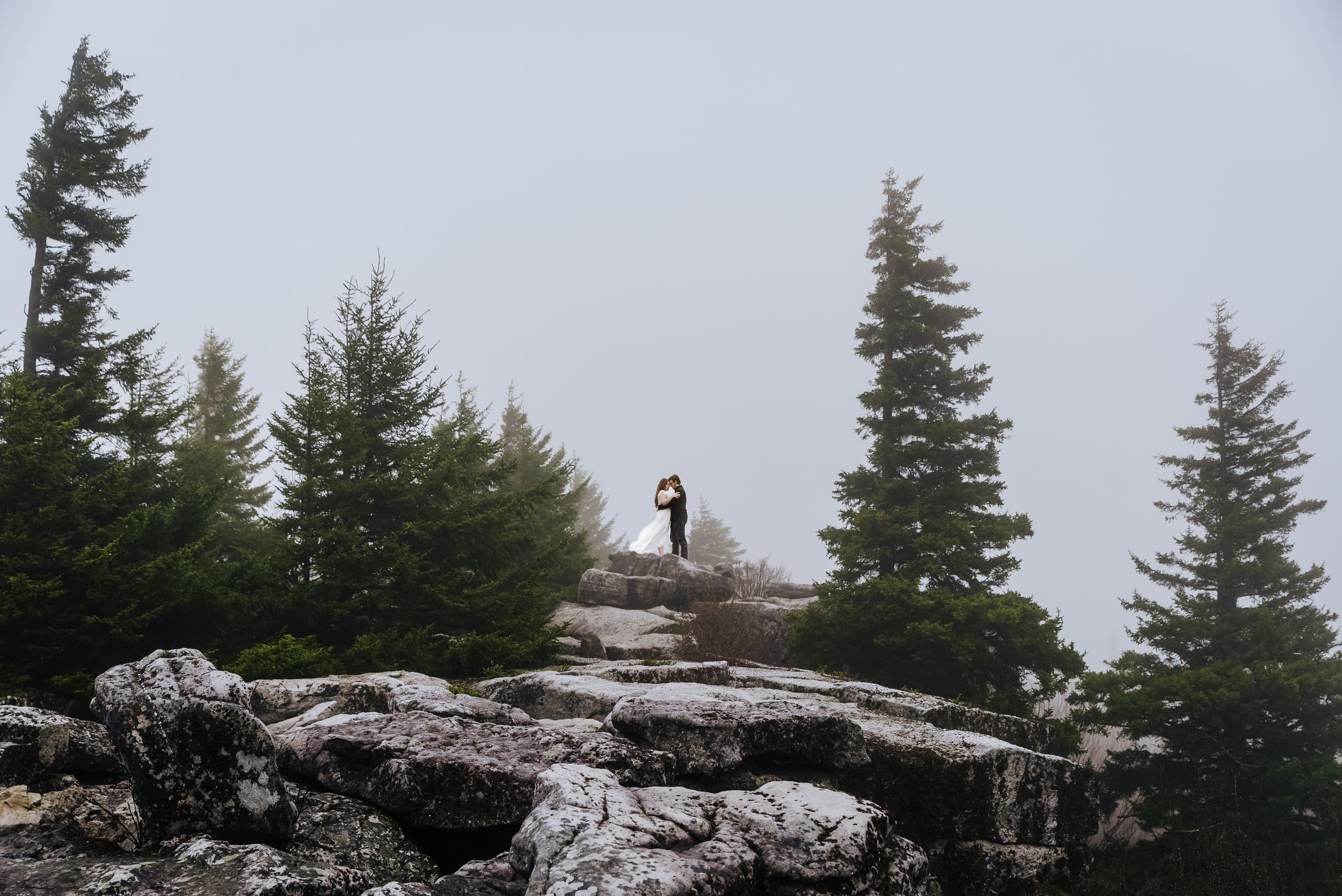 Foggy Elopement at Dolly Sods Wilderness | West Virginia elopement photographer