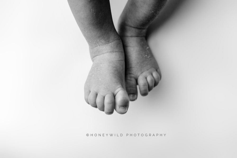 Grand Rapids Newborn Photographer How To Choose A Newborn PHotographer