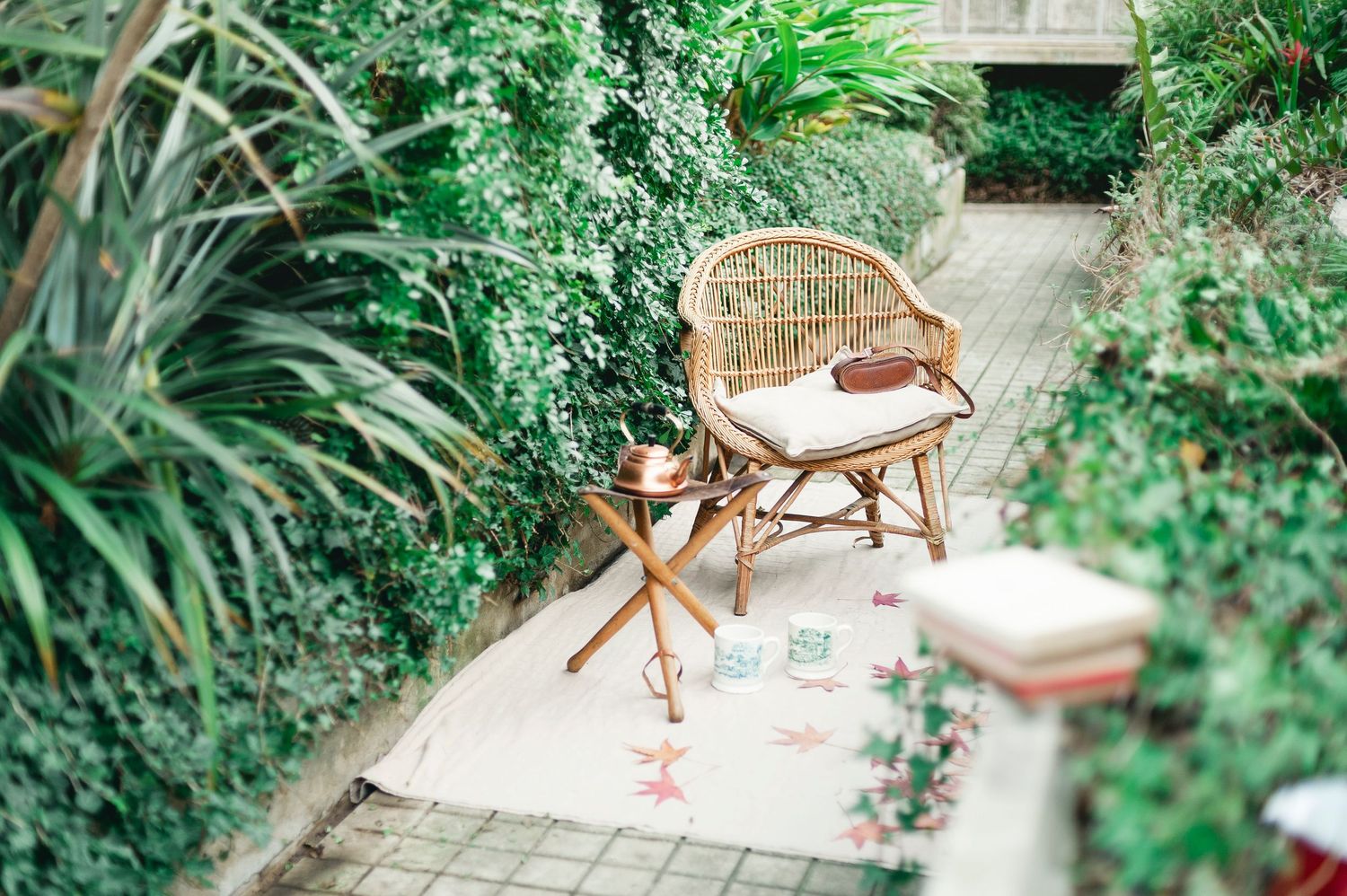 Cozy outdoor patio with wicker chair and lush green ivy wall garden setting.