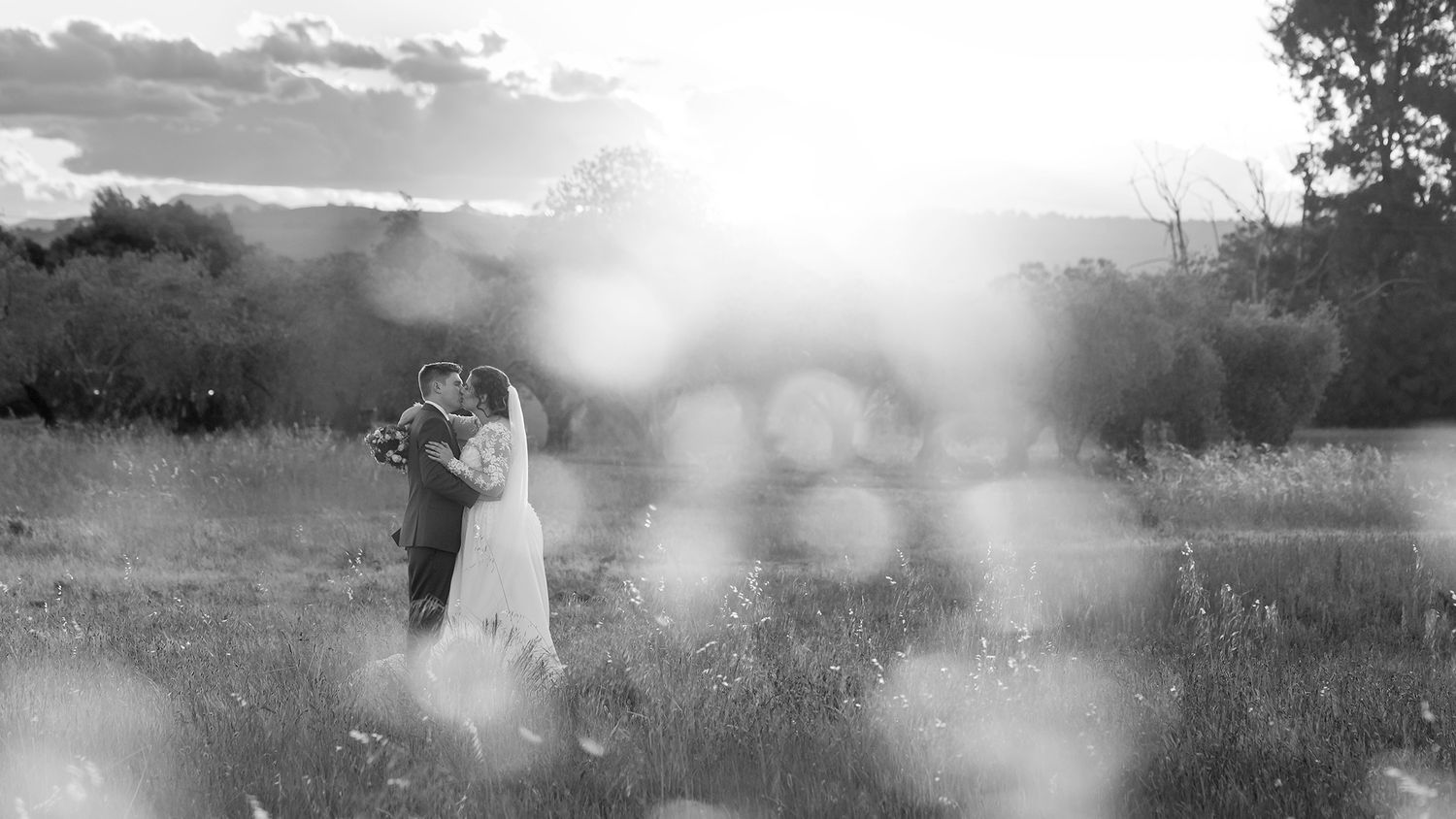 Bride and Groom sharing a kiss in a field at Pialligo Estate in Canberra on their wedding day with the sunsetting in the background.