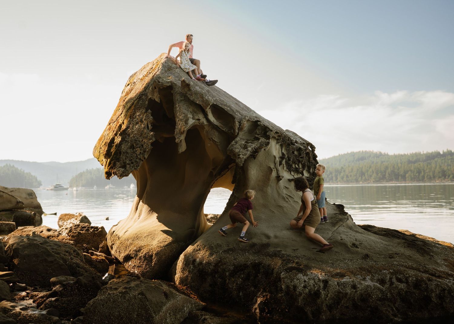 Scenic coastal landscape with driftwood logs scattered along a misty Pacific Northwest beach at sunset.