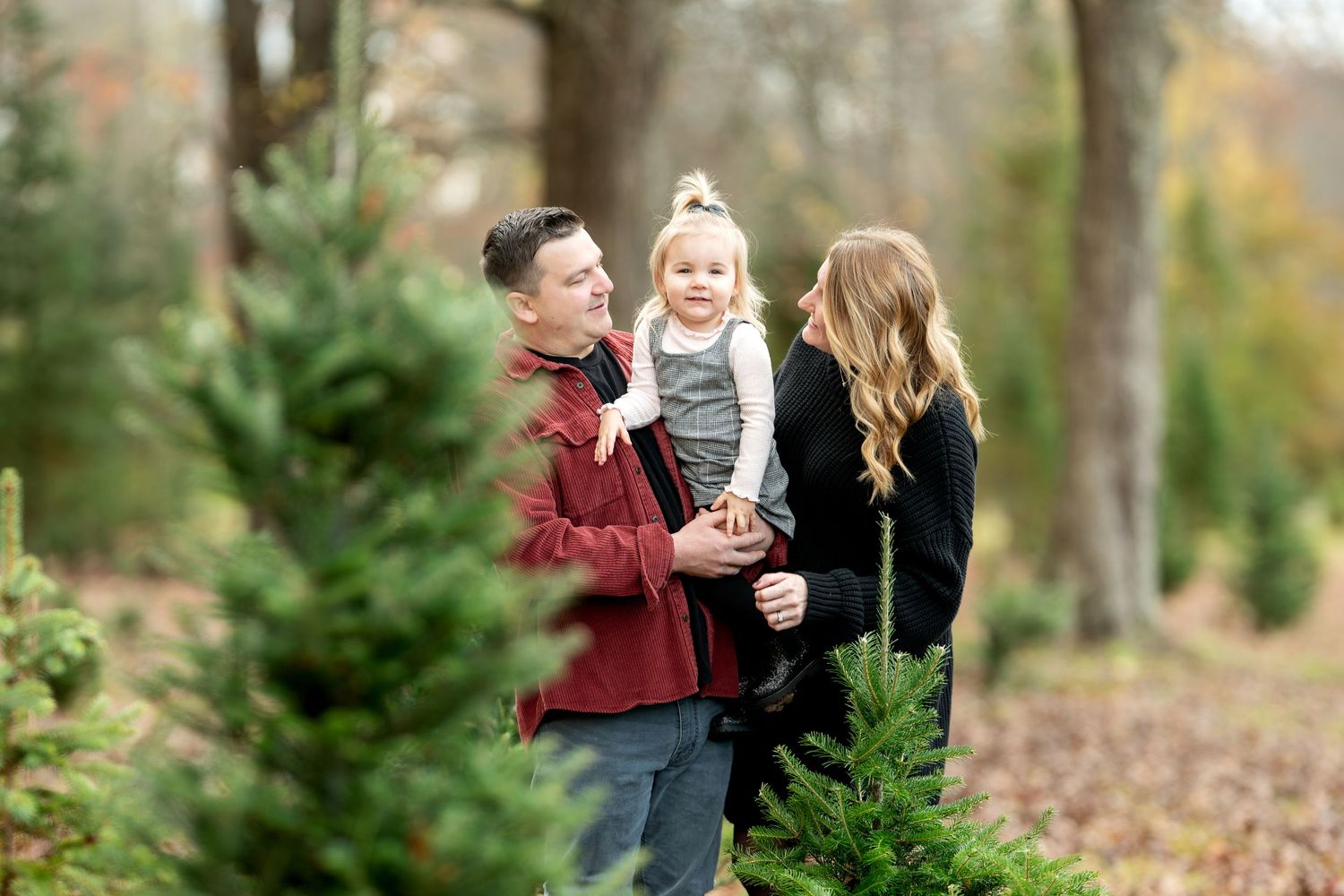 Young couple smiling and holding their laughing toddler between Christmas trees in autumn woods.