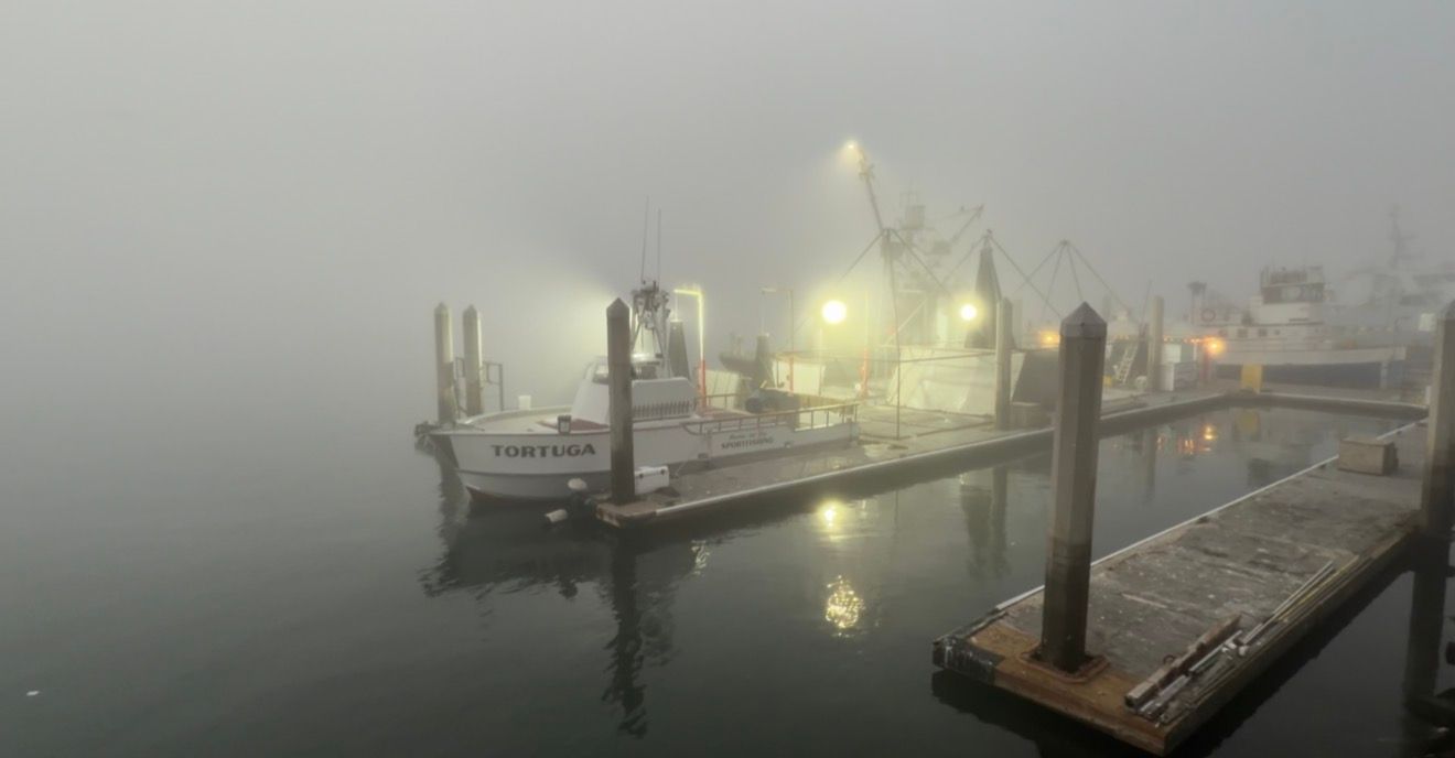 Illuminated boats and docks shrouded in thick fog at a marina during nighttime create an ethereal waterfront scene.