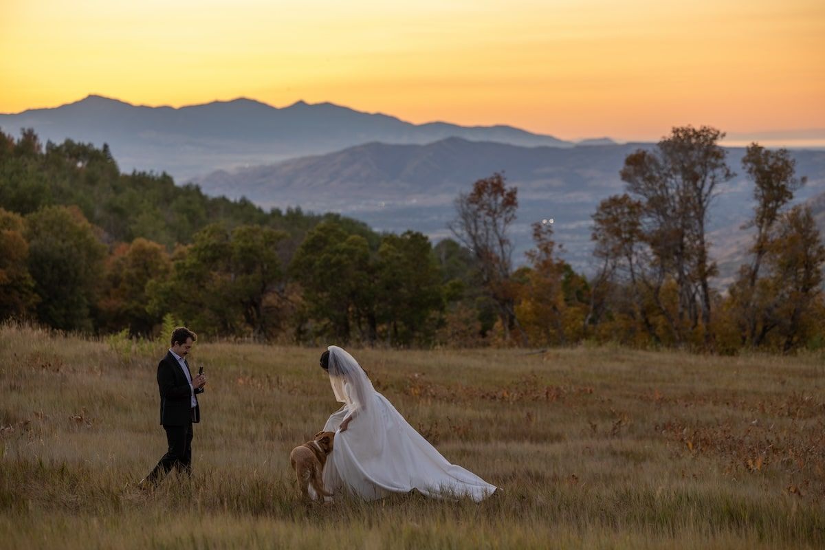 A couple poses in a golden field at sunset with mountains in the background during their wedding photoshoot.