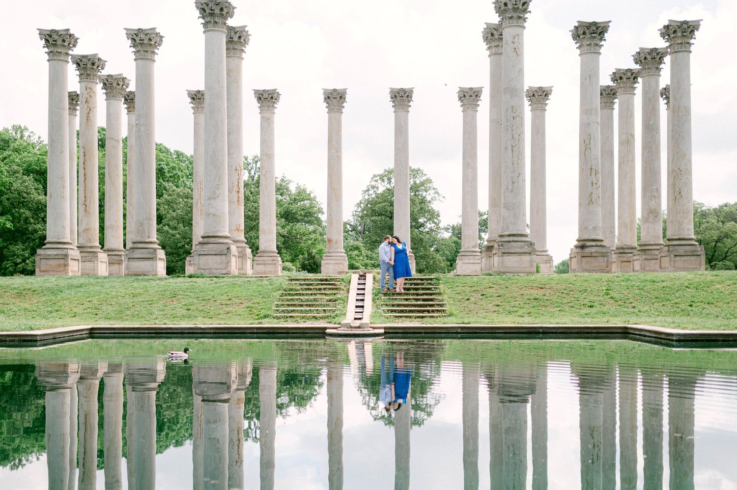National Arboretum Engagement Photography
