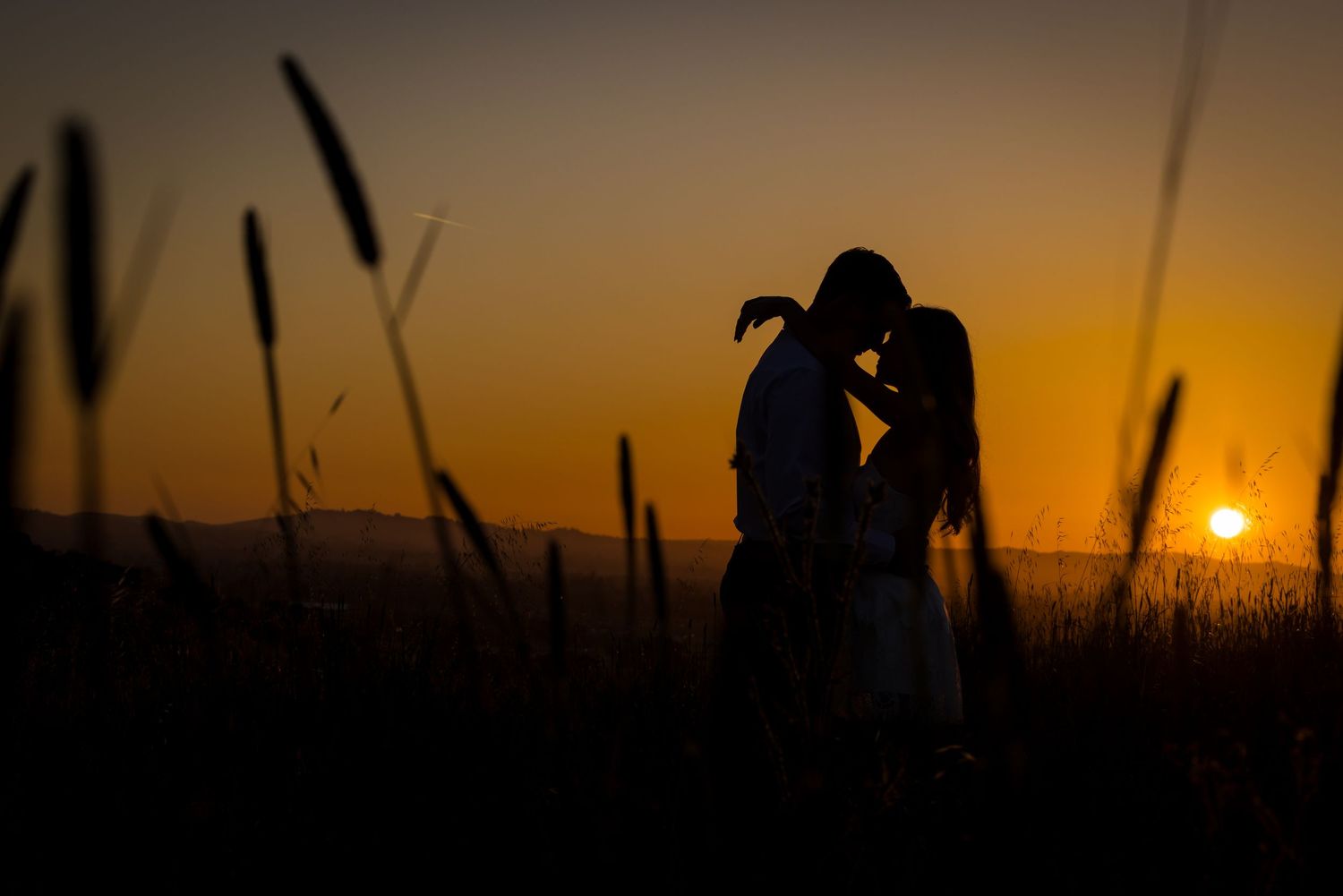 Silhouette of a couple sharing a romantic kiss in a golden field at sunset with warm orange sky.