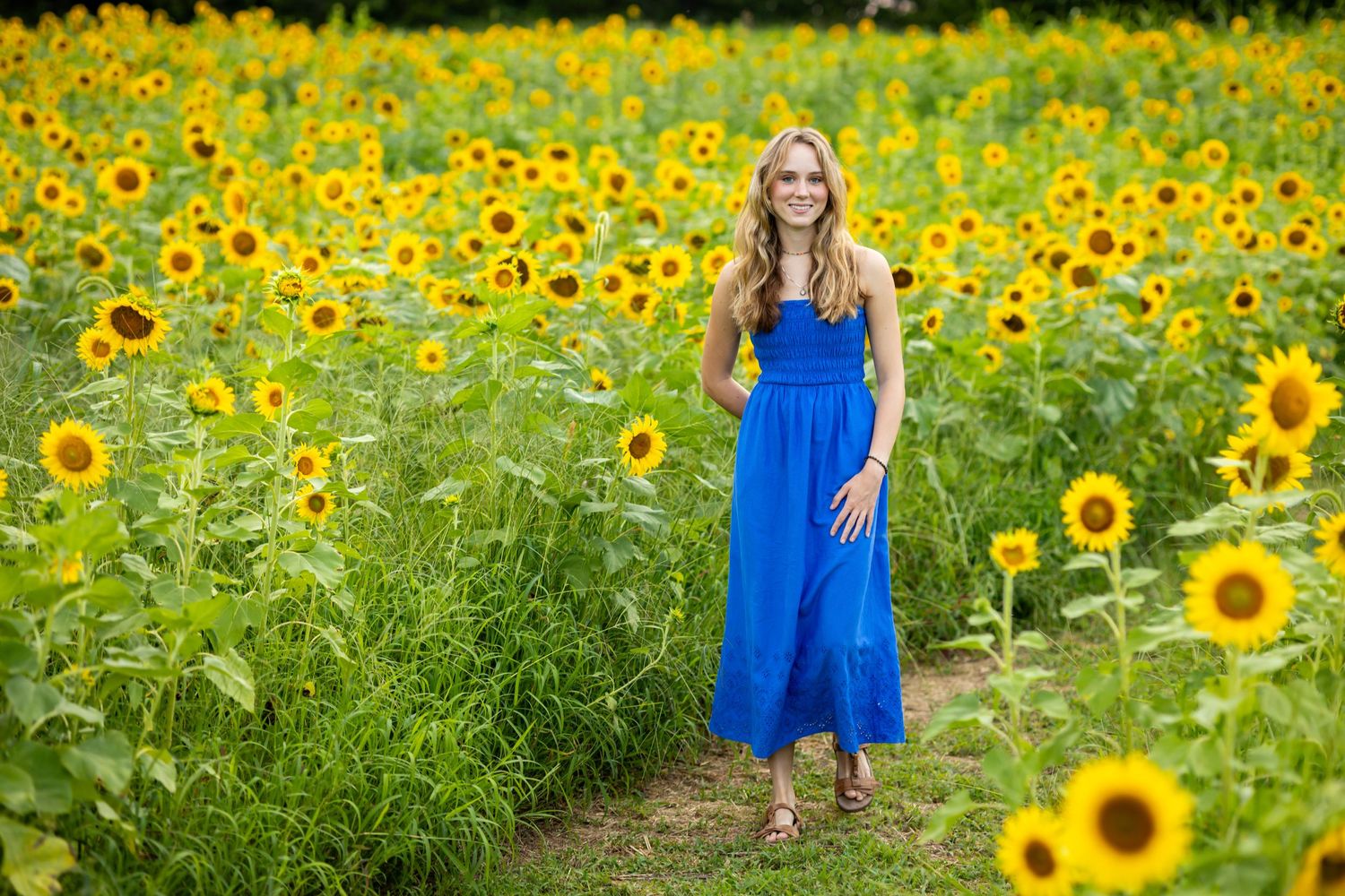 Sunflower Minis Prep Guide | Sunflower Photo Session at Chesterfield Berry  Farm, Moseley, Virginia | Richmond, VA - JdB Photography + Design