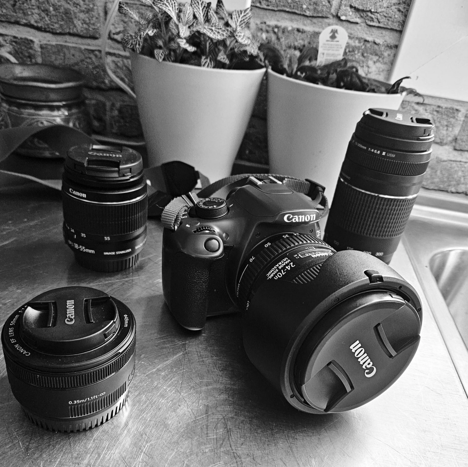 Image of Canon lens, and canon camera.