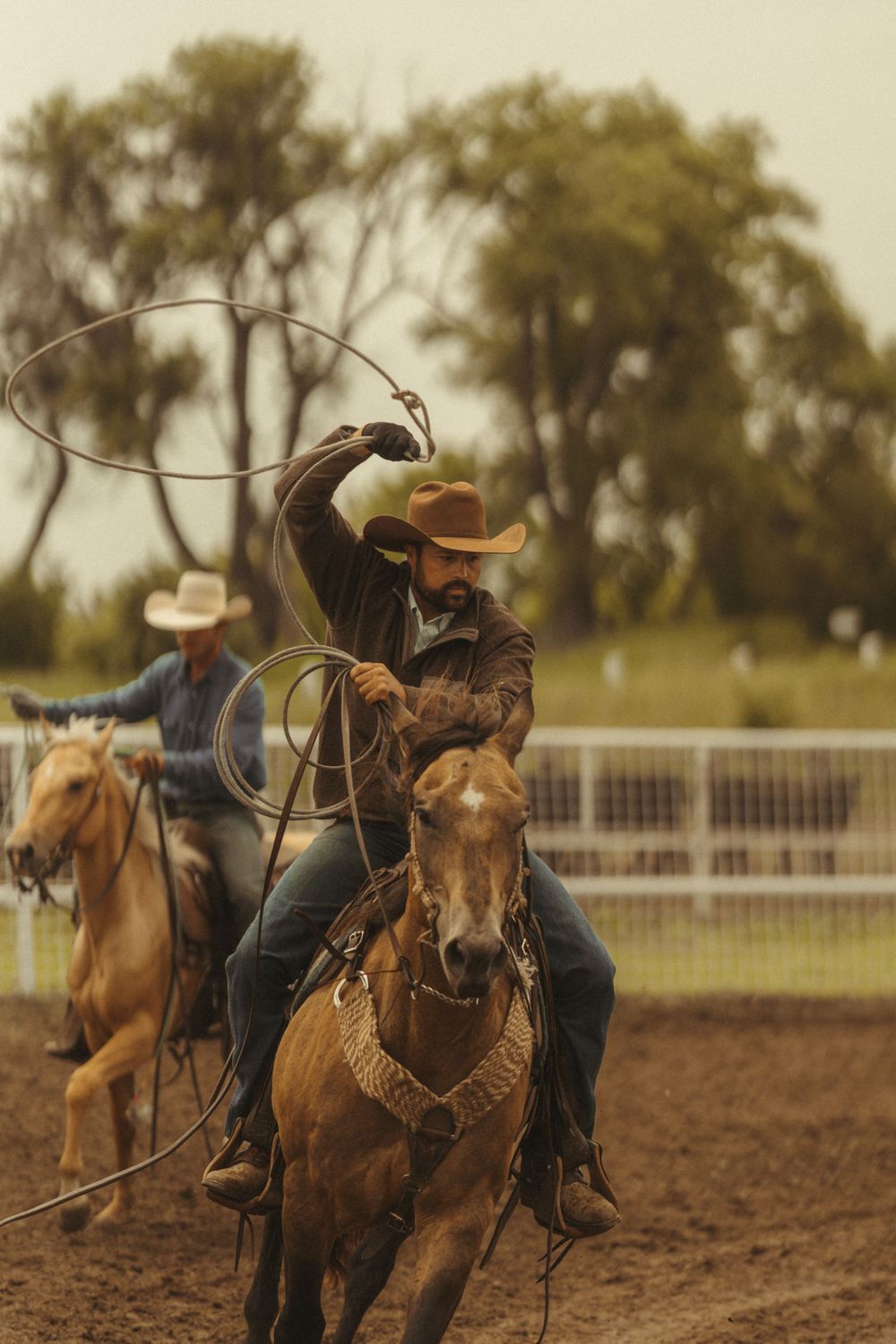 Discover Your Next Horse in the Legend Buttes Horse Sale Legend