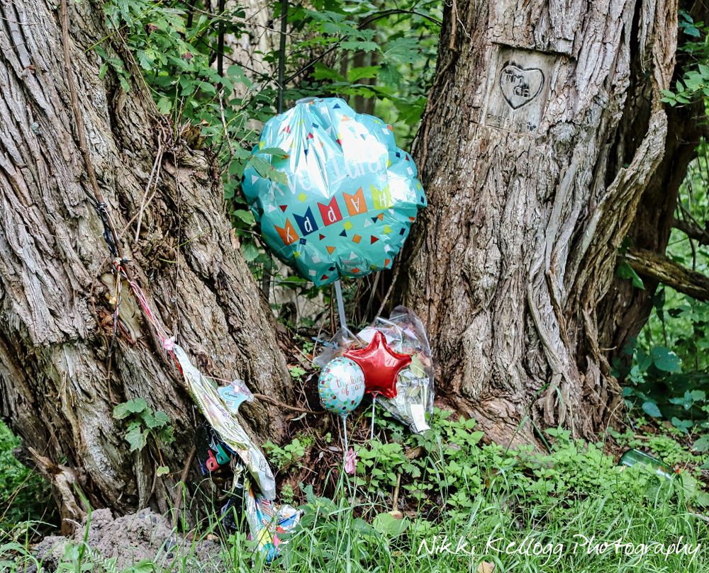 Roadside Memorials Nikki Kellogg Photography