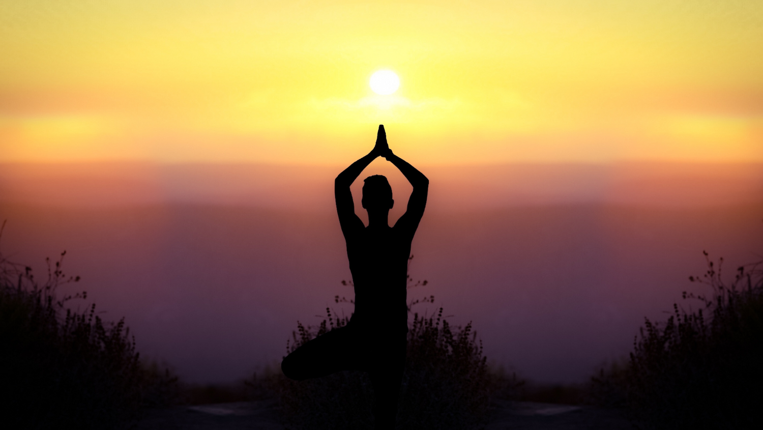 Adam Carrozza health & mental health