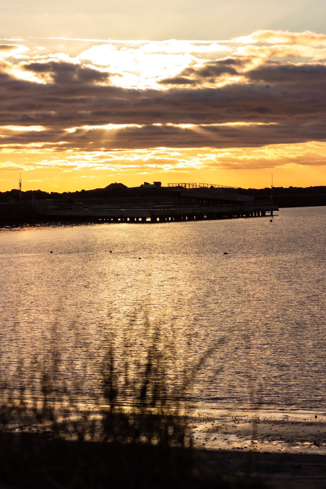 Dramatic sunset over water with silhouetted pier and golden clouds.