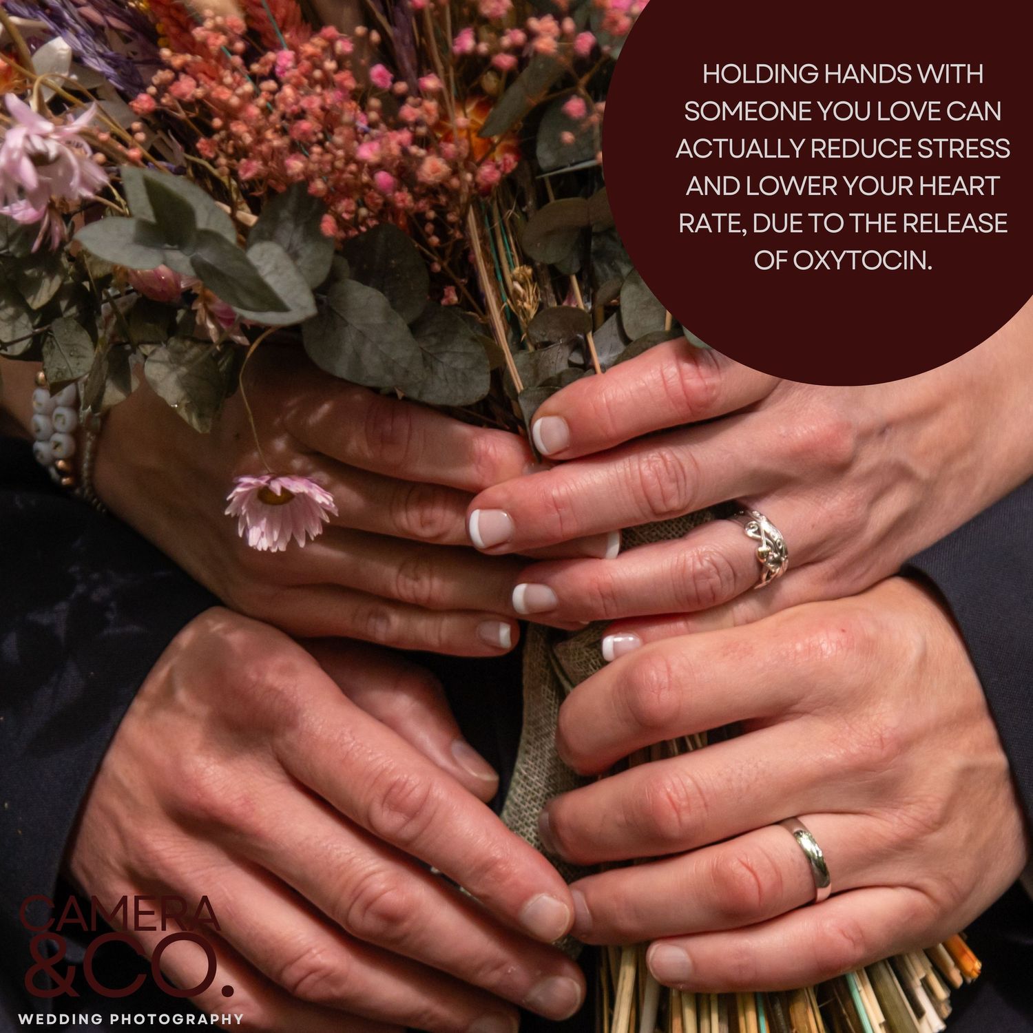 Close up of hands holding pink flowers showing wedding rings and engagement jewelry.