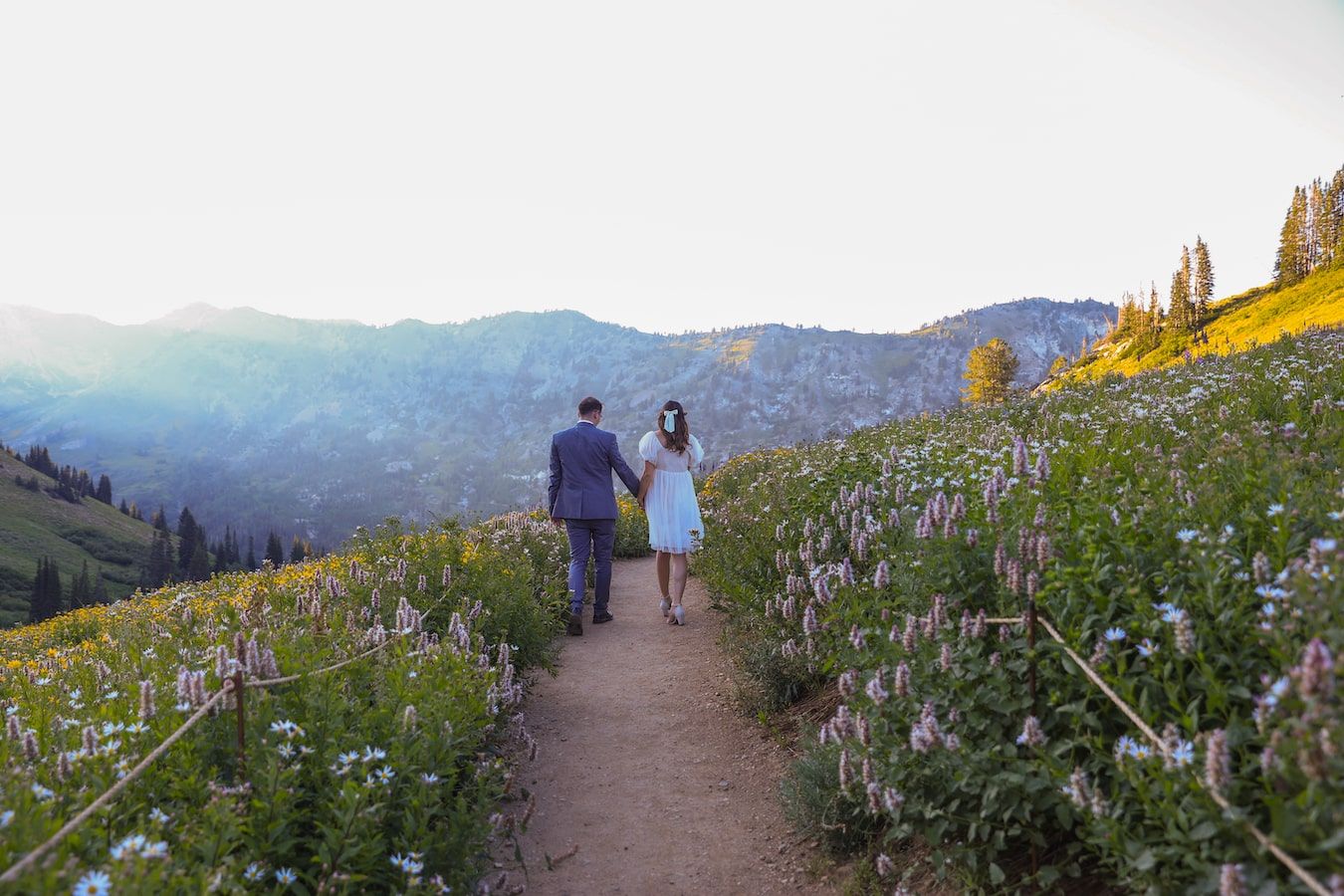 engagement at albion basin