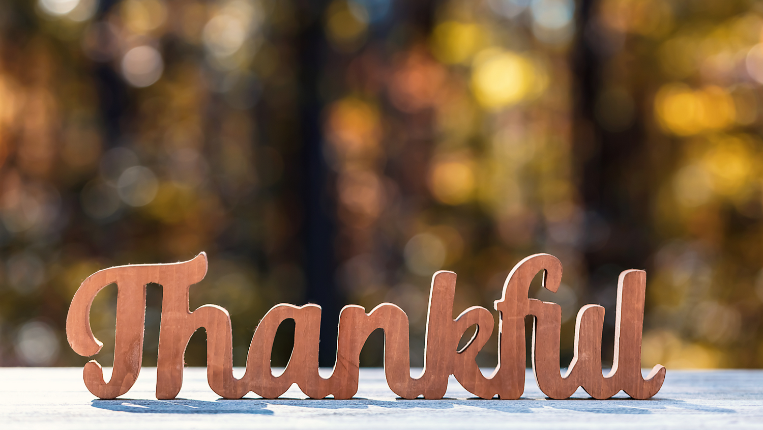 Gratitude Unveiled: Embracing the Power of Thankfulness for Life's Toughest Lessons | Episode 6 | The Woman of Courage P