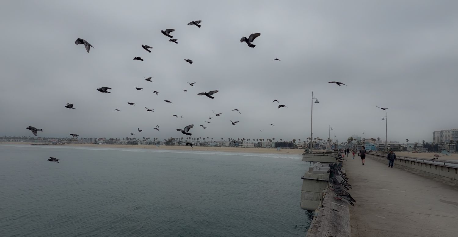 Foggy coastal beach scene with ocean waves, sandy shore, pier, and distant city skyline under overcast skies.