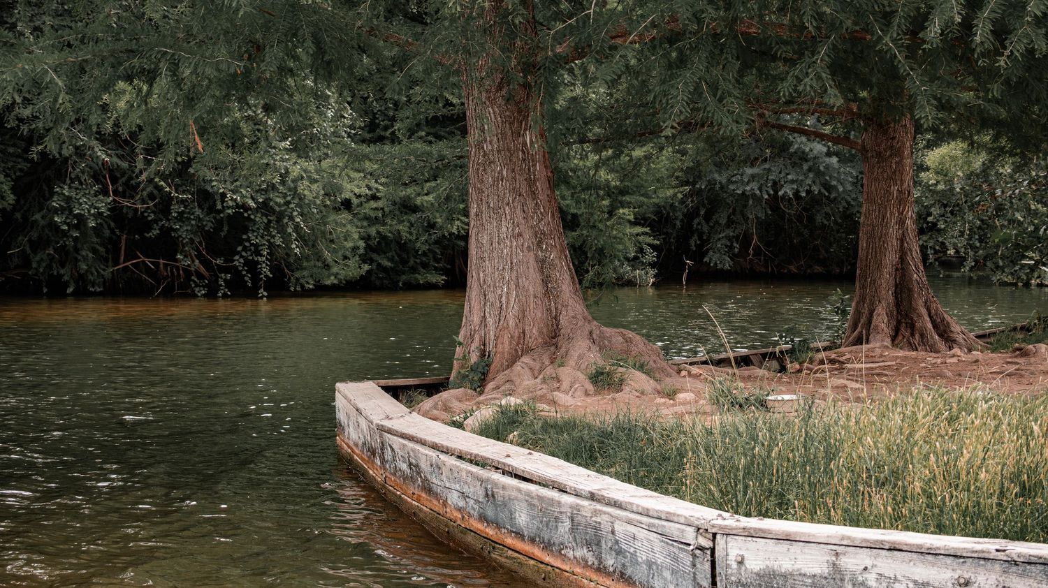 Commons Ford Ranch Metropolitan Park - Austin, Tx | Memories by Jennifer Ely