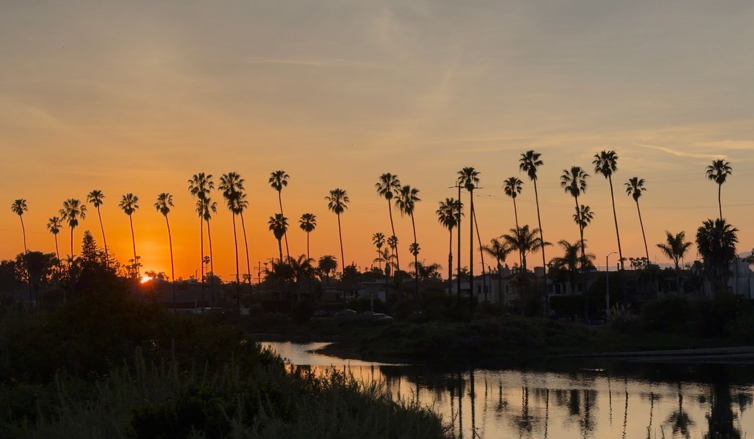 Silhouetted palm trees line a waterway during a vibrant orange sunset in Southern California.