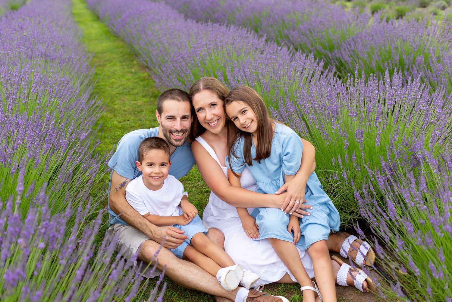 Happy family of four sitting together in a blooming purple lavender field on a sunny day.