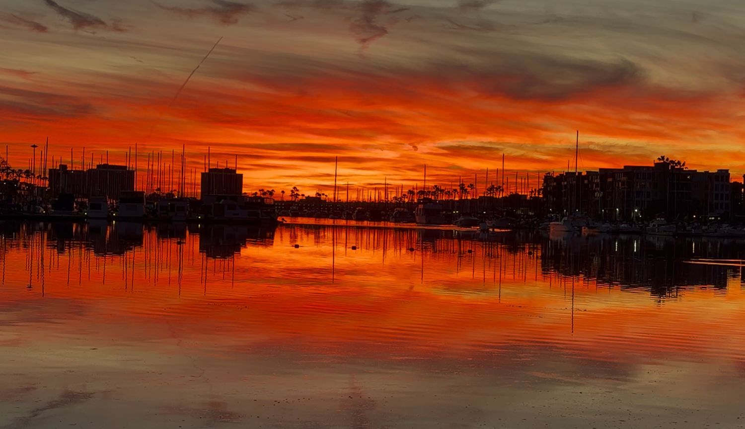 Silhouetted boats and docks against a vibrant orange sunset reflecting on calm harbor waters.