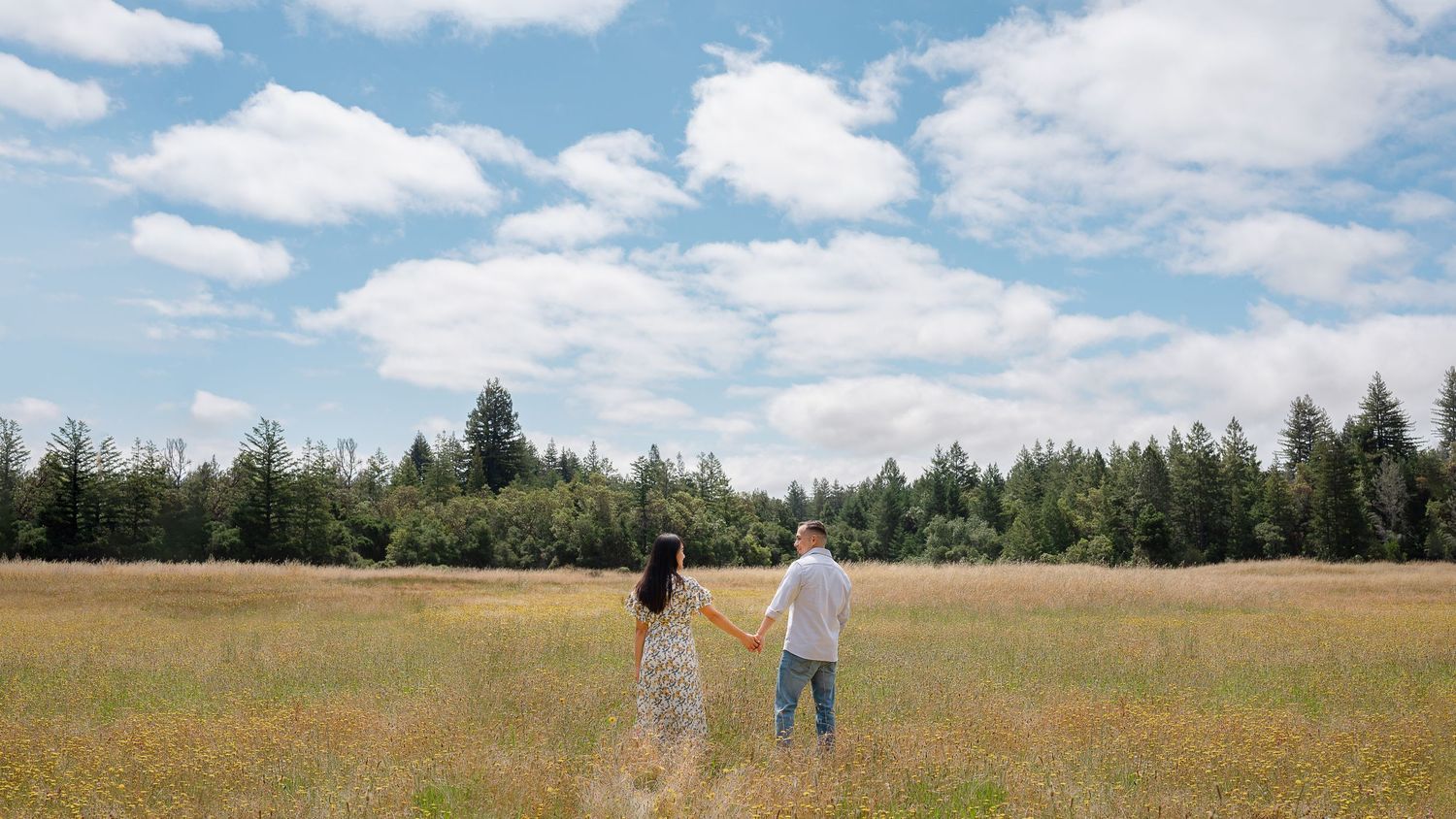 Two figures stand together in a sunny meadow with evergreen trees and fluffy clouds in the background.