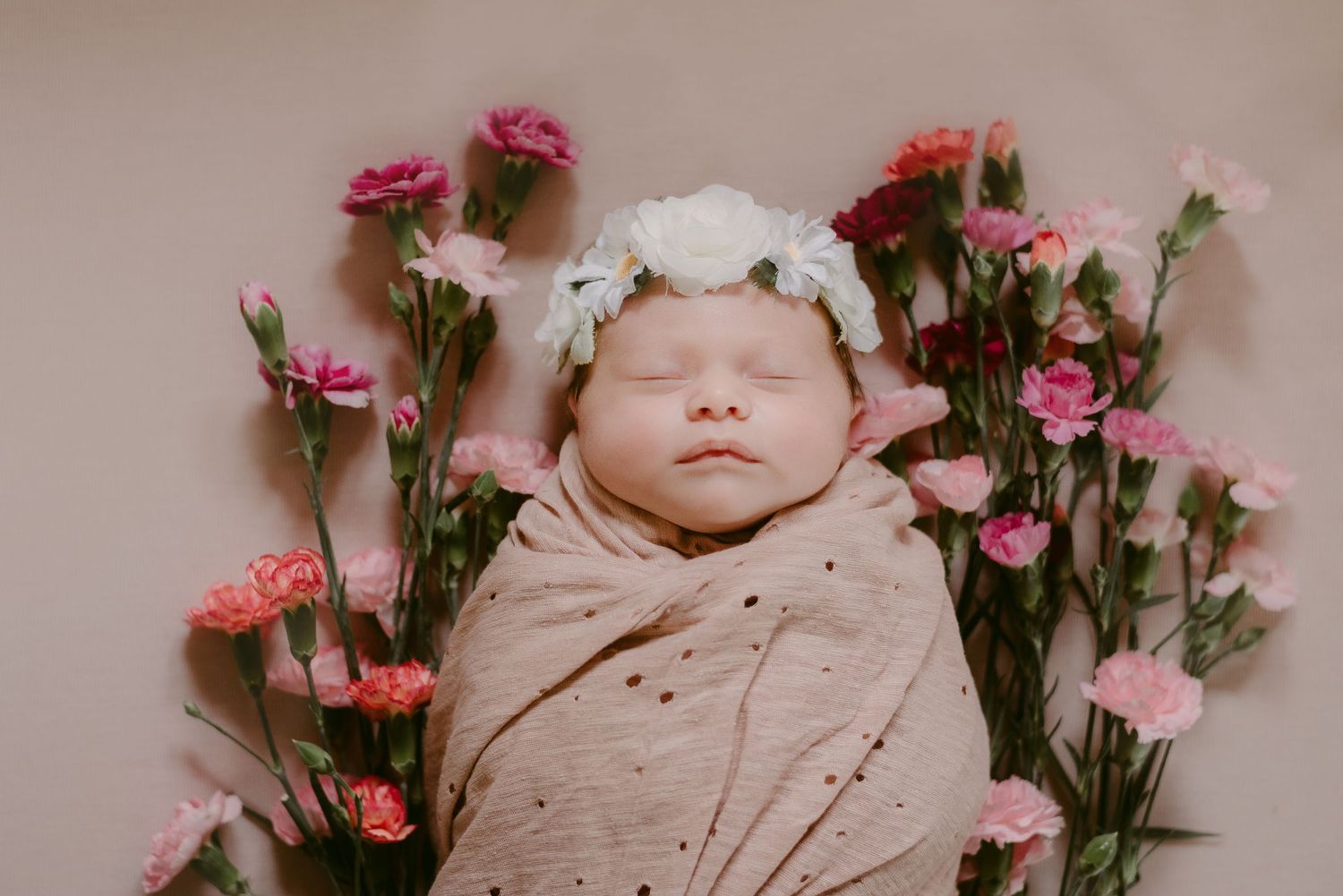 A sleeping newborn wrapped in beige swaddle is surrounded by pink and white carnations.