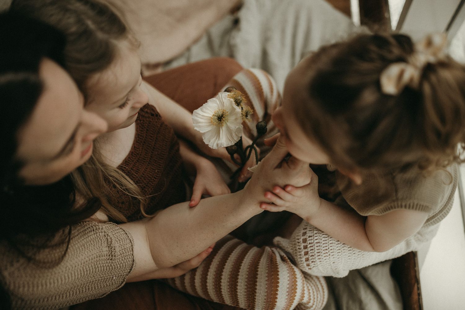 A warm family moment captured in a cozy living room with natural light streaming through windows and indoor plants.