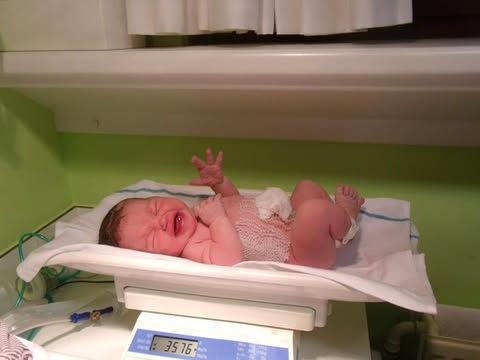 A newborn baby lying on a medical scale while being weighed in what appears to be a hospital setting.