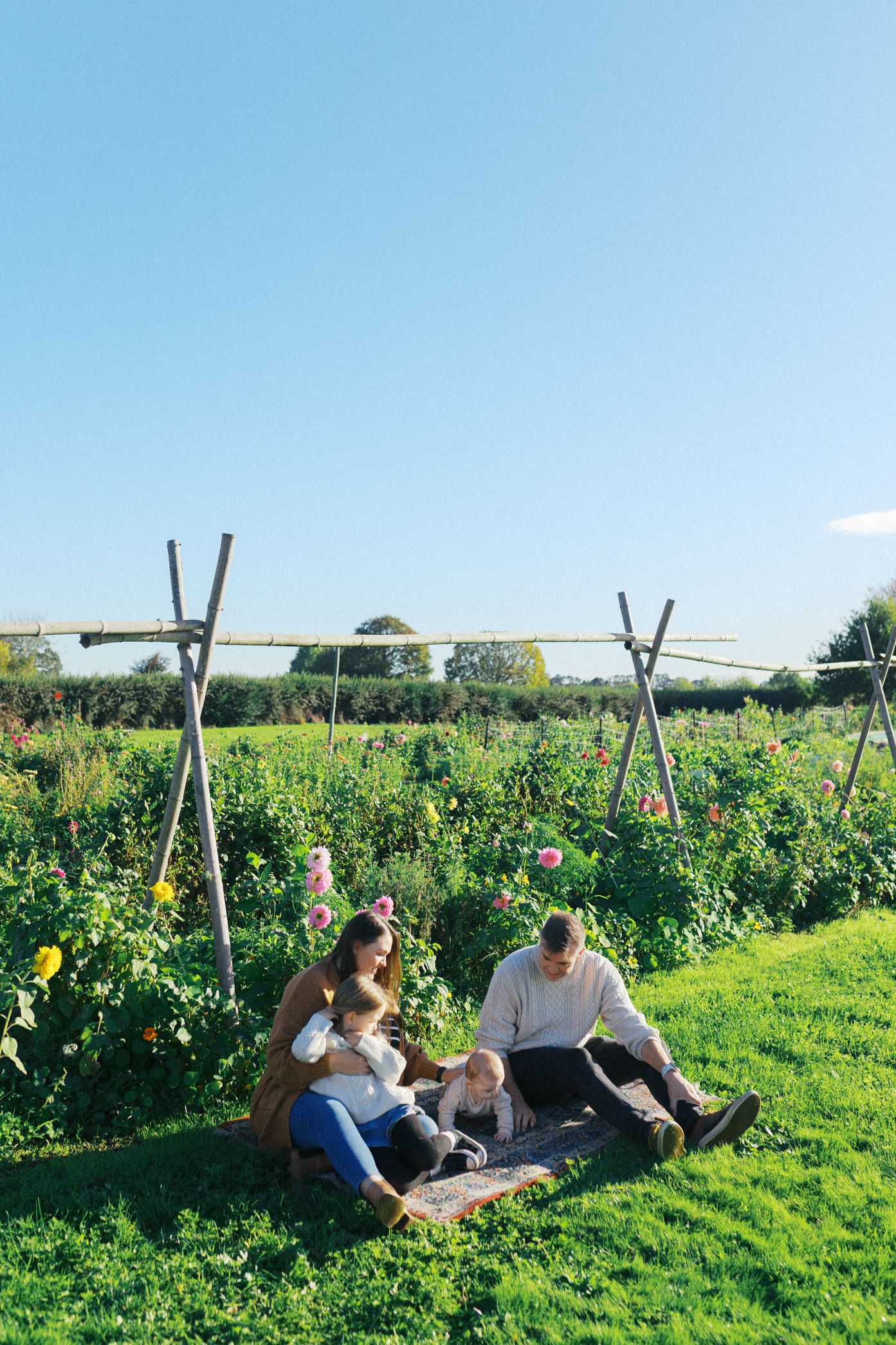 People relax on wooden swings in a sunny garden surrounded by flowering plants and green vegetation on a summer day.