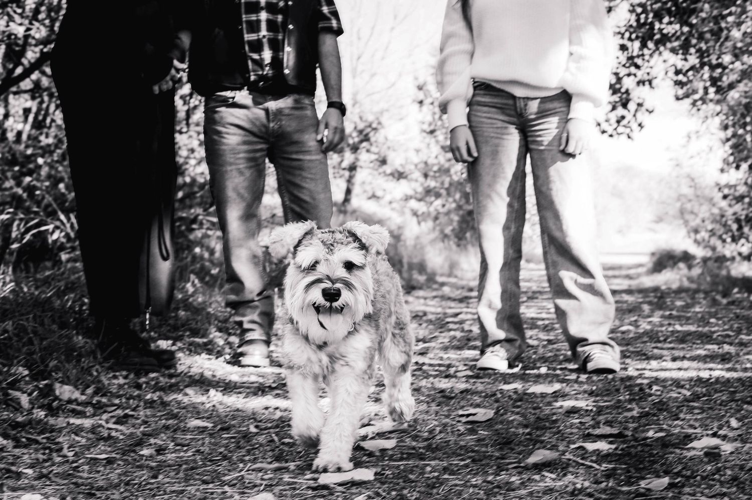 Lifestyle Photography - Grad Session in Kananaskis, Alberta.