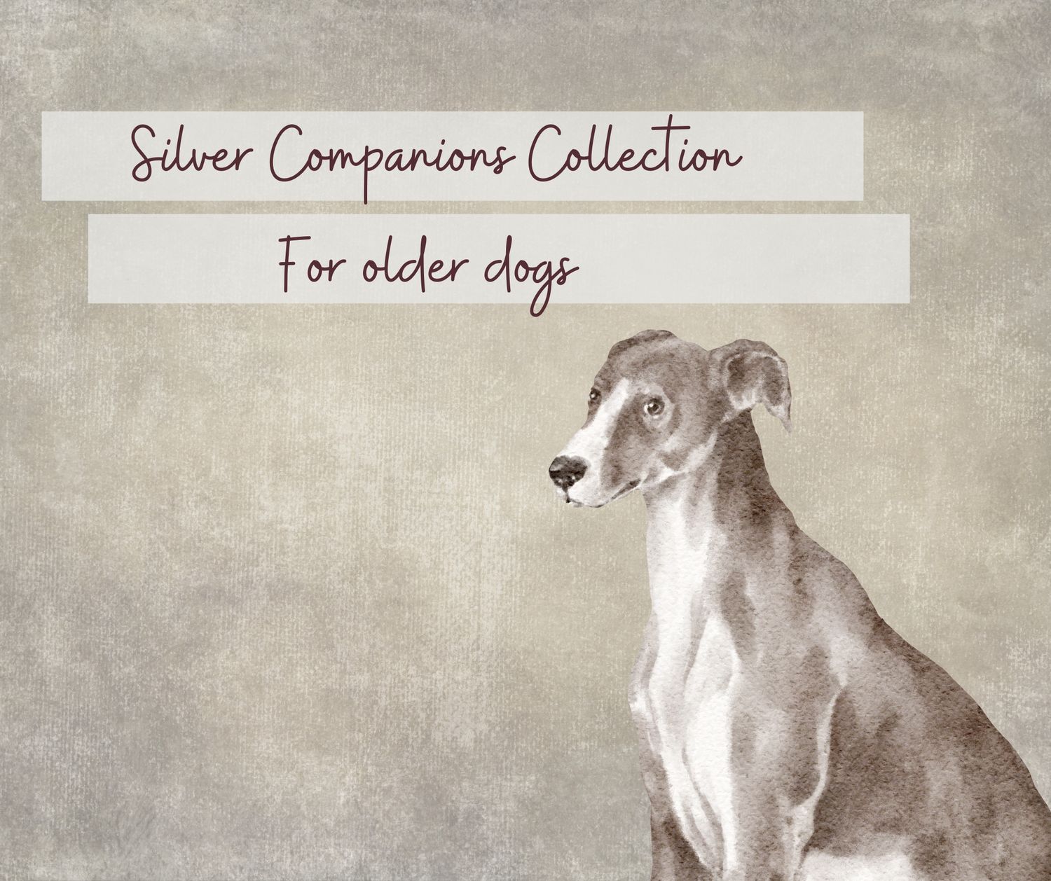 A collection of sepia-toned photographs showing senior dogs in a vintage style artistic arrangement.