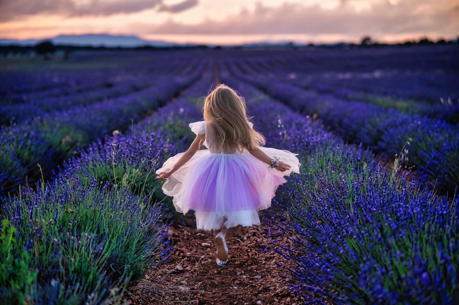 A dreamy sunset scene in a lavender field with a figure in a flowing pink tulle dress dancing among purple blooms.