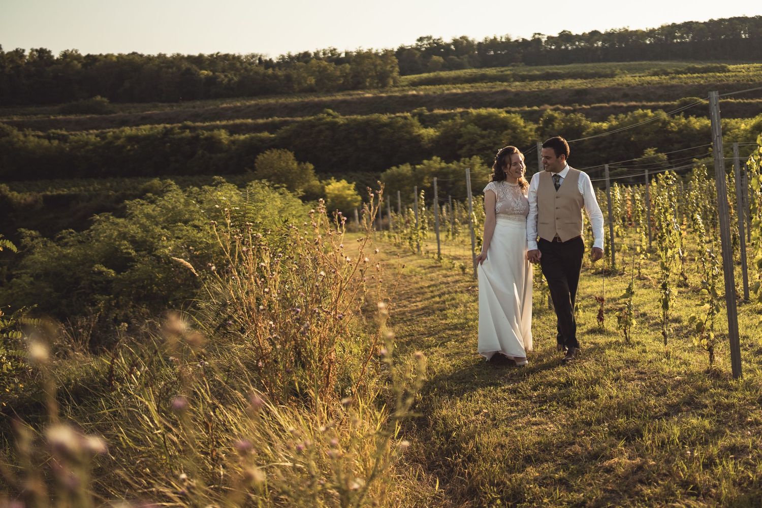 A couple walks through a scenic vineyard at golden hour with rolling hills and grapevines in the countryside.