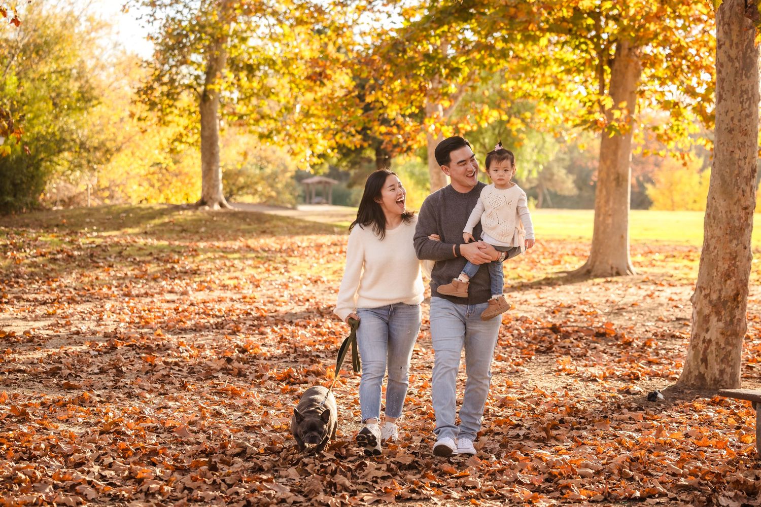 A family walks together through fallen autumn leaves with their French Bulldog in a park setting.