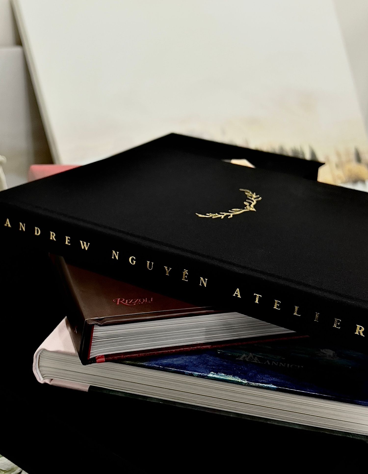 Andrew Nguyen Atelier Photobook