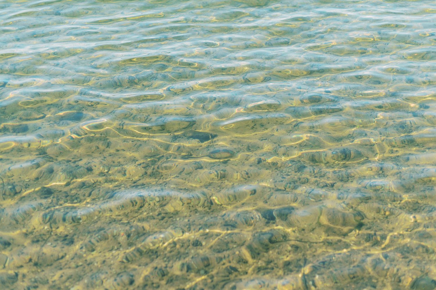 Clear rippling water surface with sunlit patterns showing shallow sandy bottom through turquoise-tinted waves.