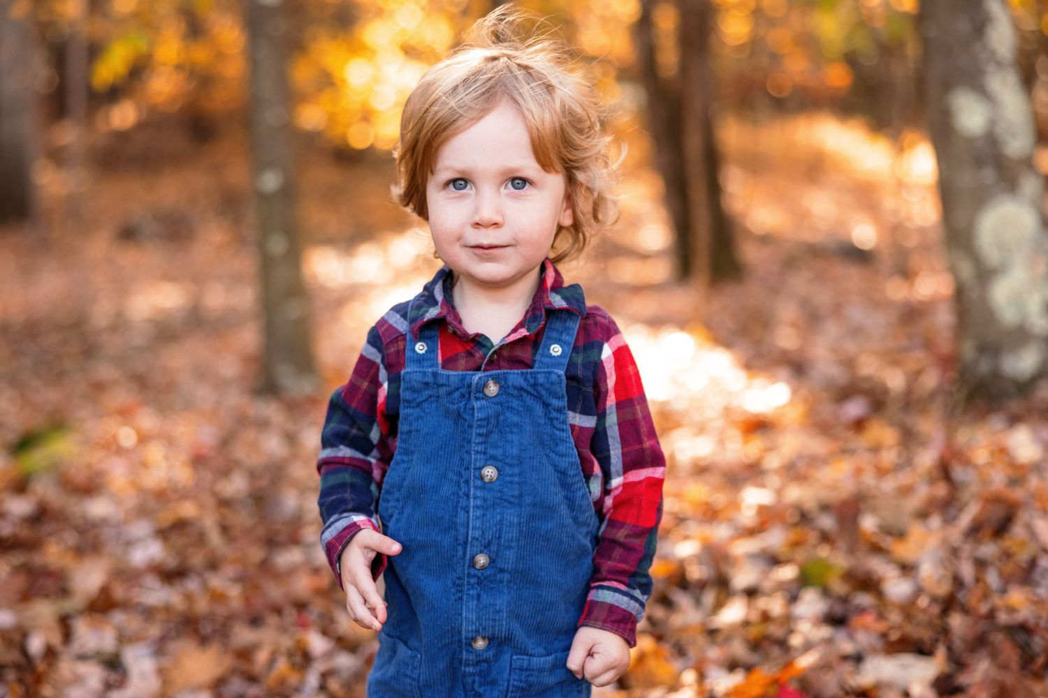 Child poses in autumn leaves wearing denim overalls and plaid shirt.