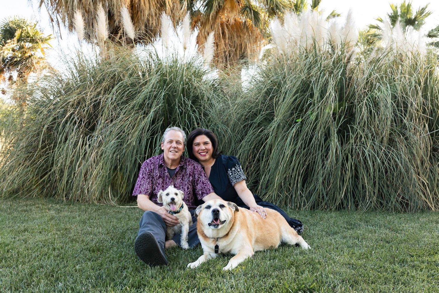 Couple sitting on grass with two dogs, a small white terrier and a tan bulldog, in front of tall ornamental grasses.