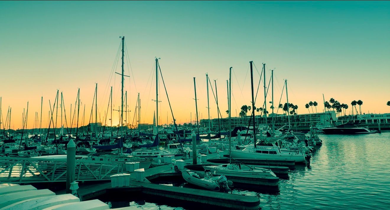 Sailboats docked at a marina during golden hour sunset with palm trees and calm water reflections.