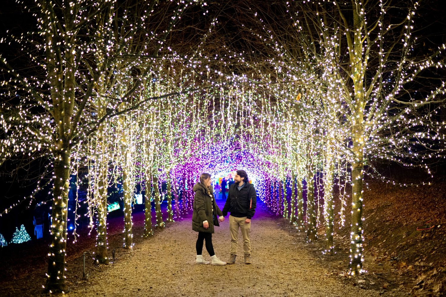 Illuminated tunnel of twinkling lights creates magical walkway at night.