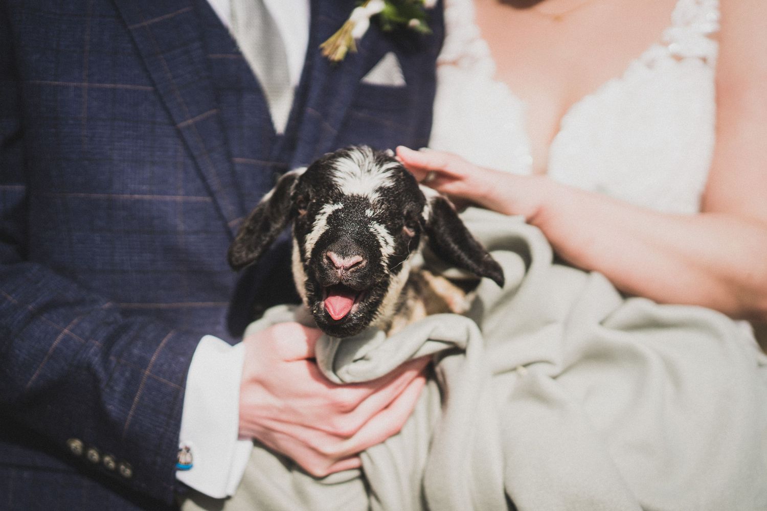A small black and white dog being held during a wedding ceremony.