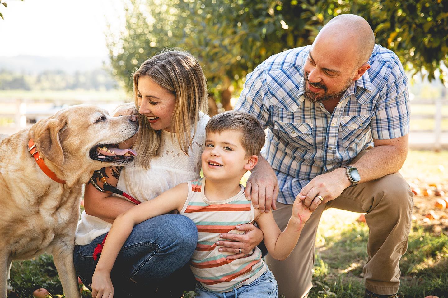 family kneeling together and snuggling between apple trees in an apple orchard with their dog