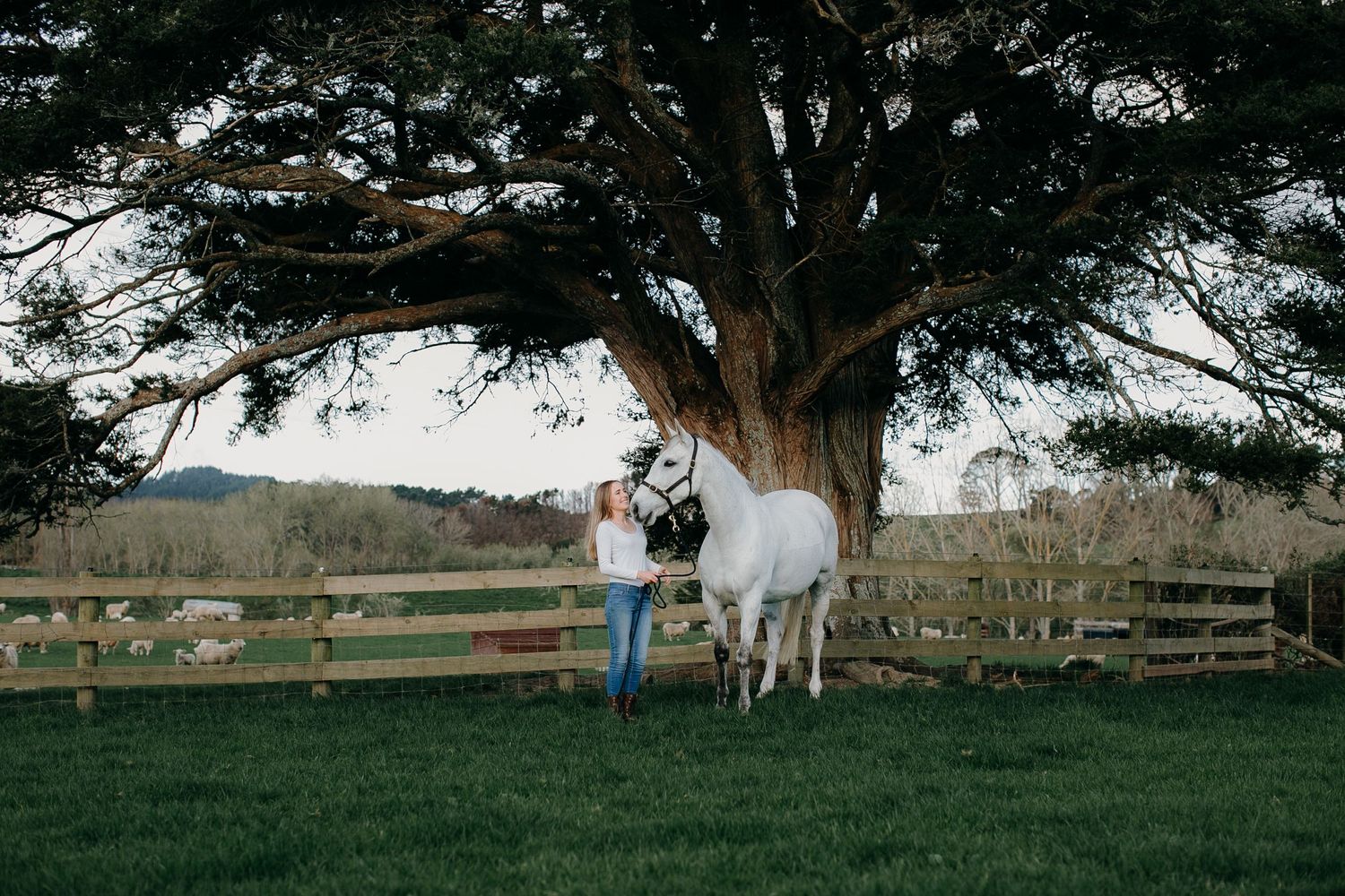 woman and horse with large tree in background