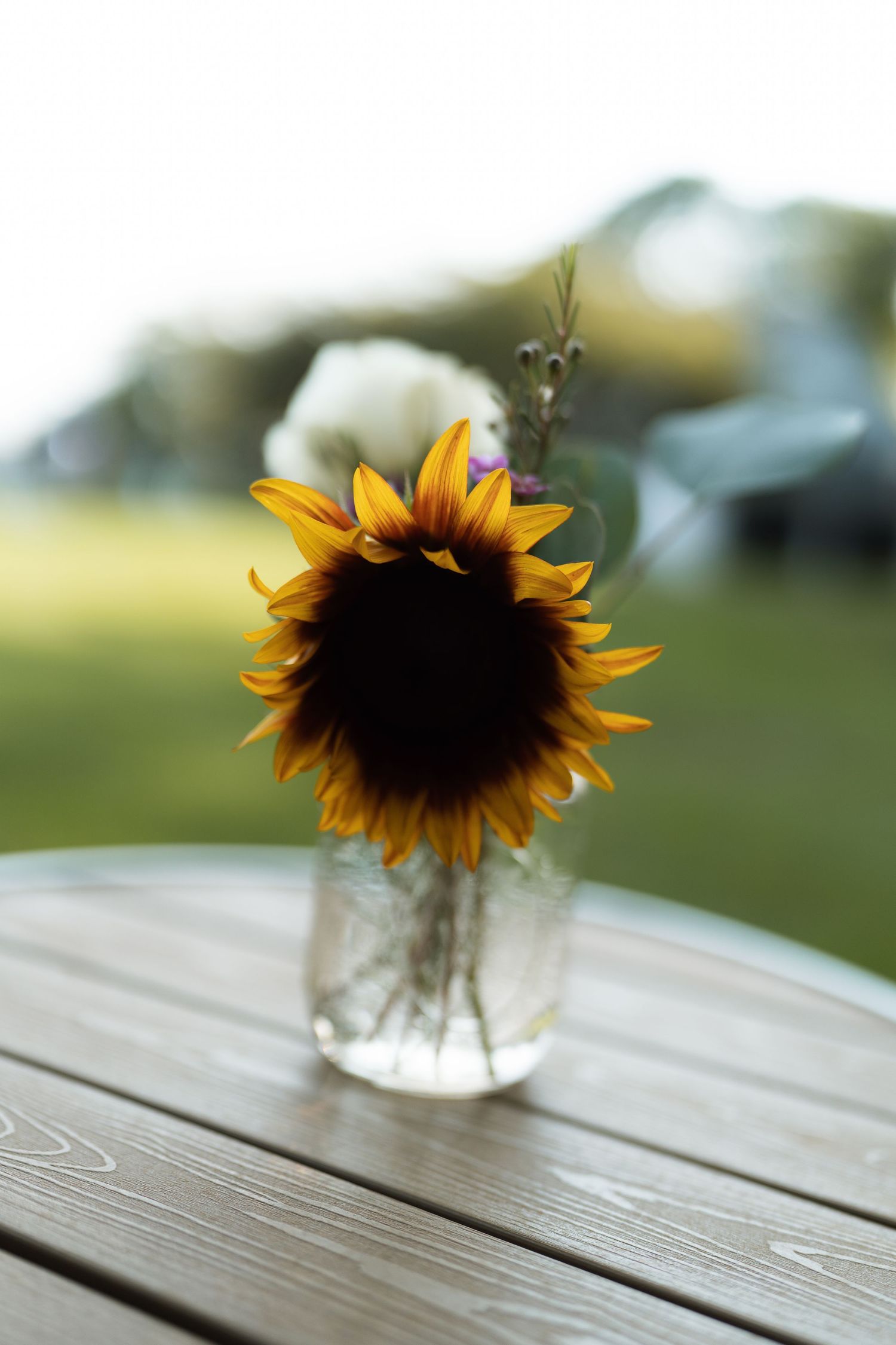 A vibrant sunflower in a glass vase sits on a wooden table with a blurred green outdoor background.