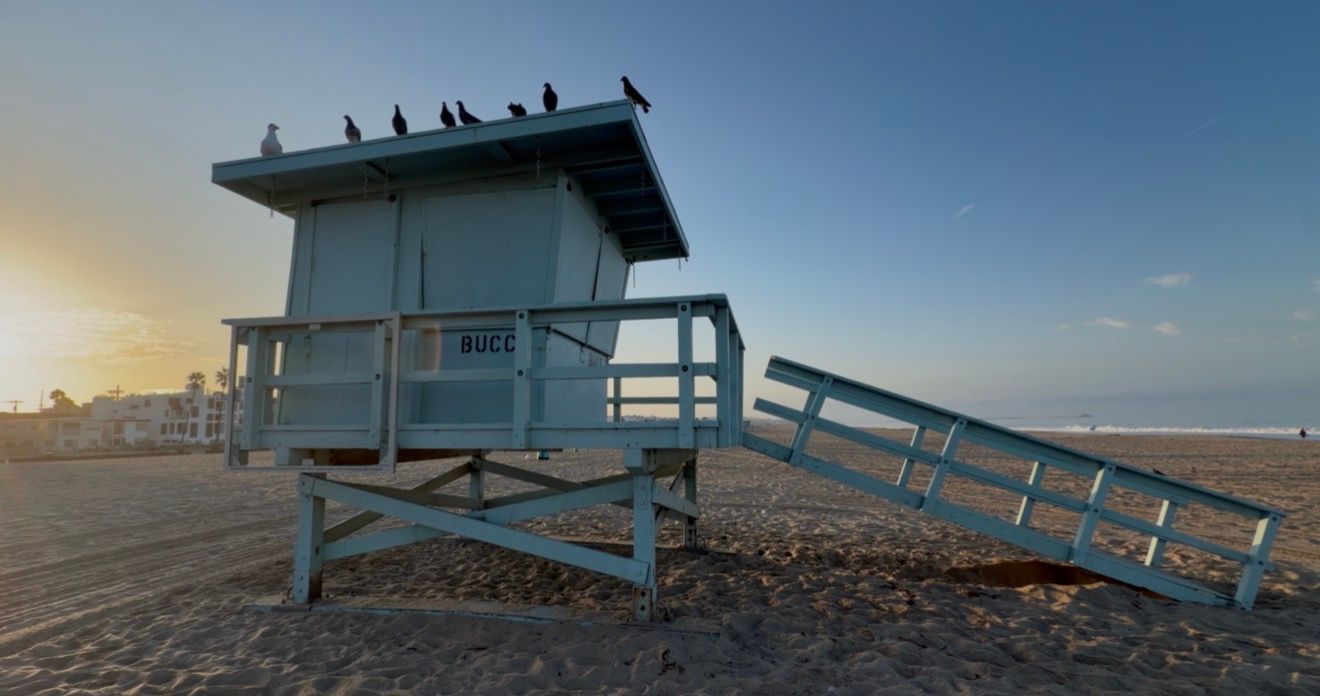 A lifeguard tower on a sandy beach at sunset with birds perched on top and calm ocean waves in the background.